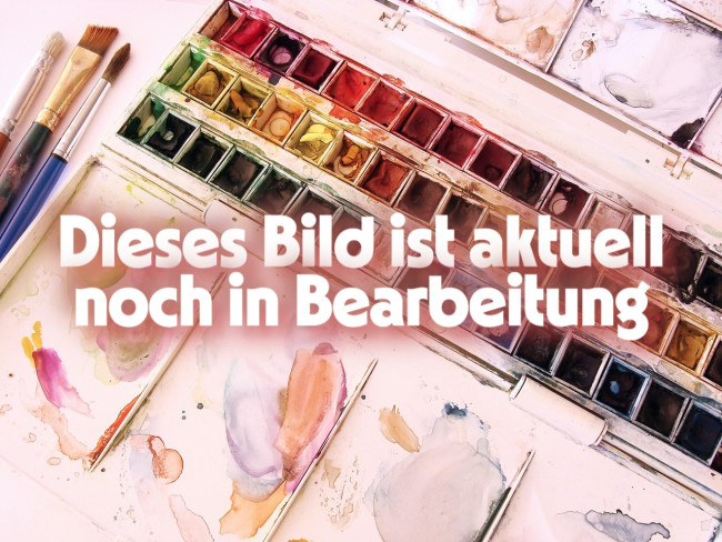 Image by Carolina from Pixabay